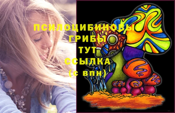 ешки Бугульма